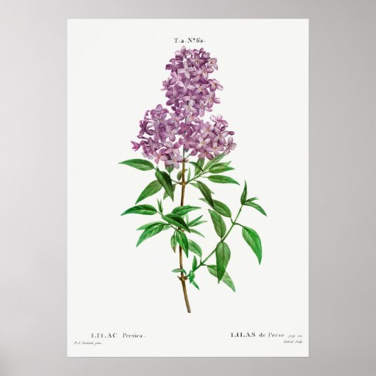 ventilatorillustratie poster (Voorkant)
