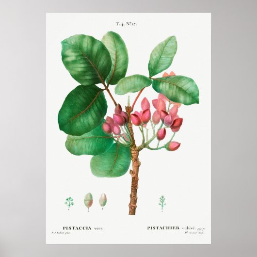 ventilatorillustratie poster (Voorkant)