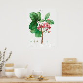 ventilatorillustratie poster (Keuken)