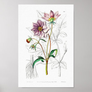 ventilatorillustratie poster