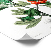 ventilatorillustratie poster (Hoek)