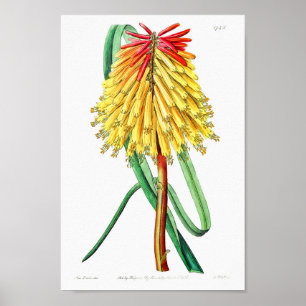 ventilatorillustratie poster