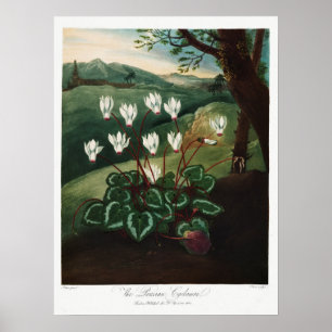 ventilatorillustratie poster