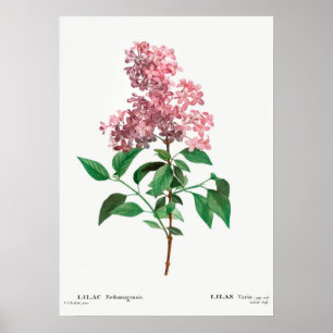  ventilatorillustratie poster