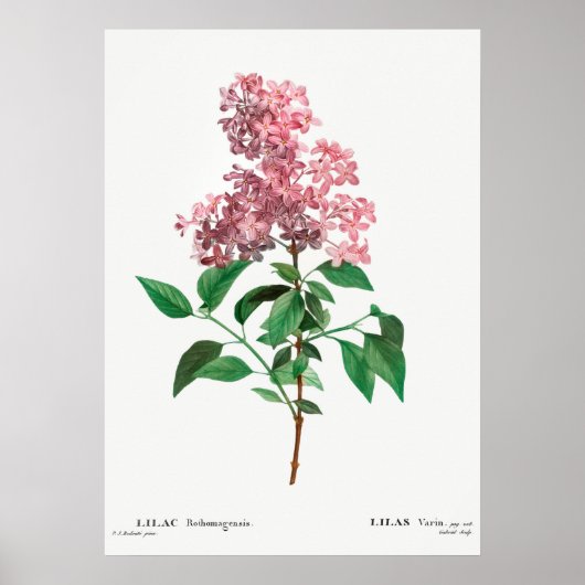 ventilatorillustratie poster (Voorkant)