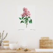 ventilatorillustratie poster (Keuken)