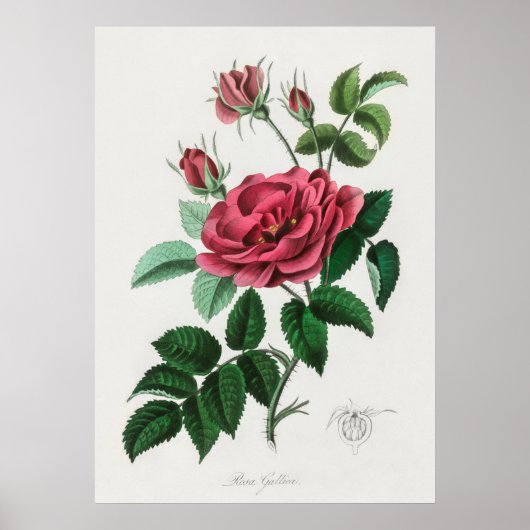 ventilatorillustratie poster (Voorkant)