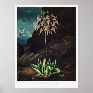 ventilatorillustratie poster