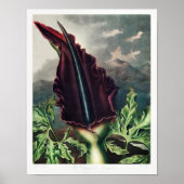  ventilatorillustratie poster (Voorkant)