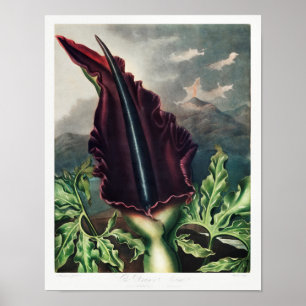 ventilatorillustratie poster