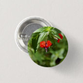 Ventilatorventilator Button (Voorkant /achterkant)