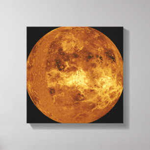 Venus Canvas Afdruk