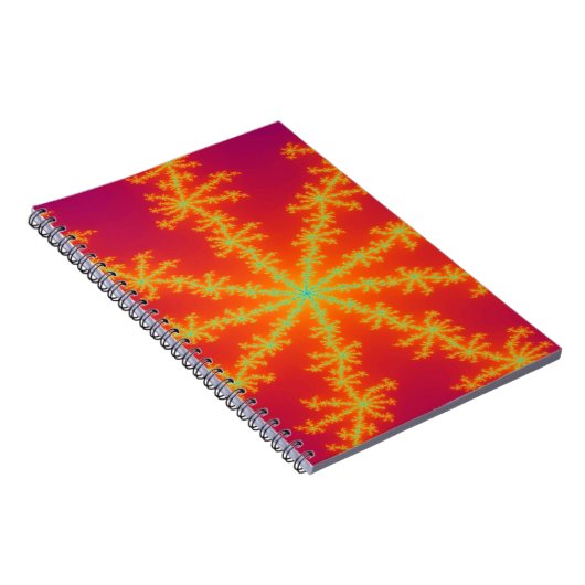 Vénus Carnet d'orage (Côté Droit)