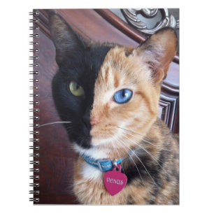 Venus Cat spiral notebook Notitieboek