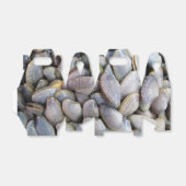 Venus Clam [ห อ ล า ย ย) Bedankdoosjes (Uitgevouwen)