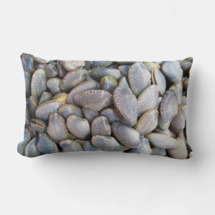 Venus Clam [ห อ ล า ย ย) Kussen