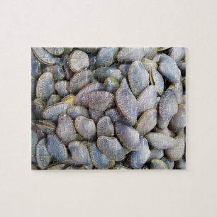 Venus Clam [ห อ ล า ย ย) Legpuzzel