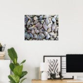 Venus Clam [ห อ ล า ย ย) Poster (Thuiskantoor)