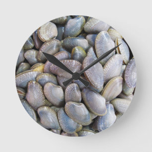 Venus Clam [ห อ ล า ย ย) Ronde Klok