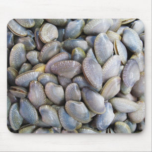 Venus Clam [gestreepte venusschelp] Muismat