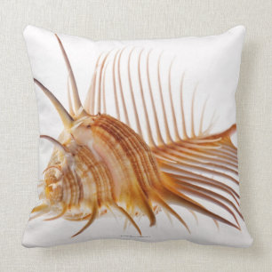 Venus Comb Murex schelp (Murex pectine) tegen Kussen
