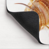 Venus Comb Murex schelp (Murex pectine) tegen Muismat (Hoek)