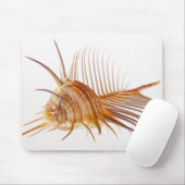 Venus Comb Murex schelp (Murex pectine) tegen Muismat (Met muis)