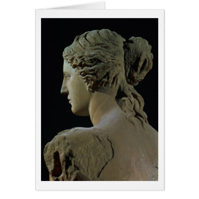 Vénus de Milo, détail of the back of the head, Hel (Devant)