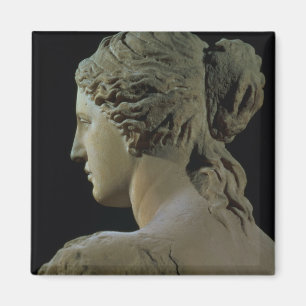 Venus de Milo, details van de achterkant van het h Magneet