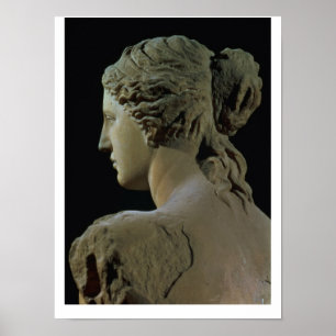 Venus de Milo, details van de achterkant van het h Poster