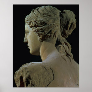Venus de Milo, details van de achterkant van het h Poster