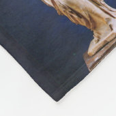 Venus de Milo Fleece Deken (Hoek)