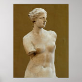 Venus de Milo Poster (Voorkant)