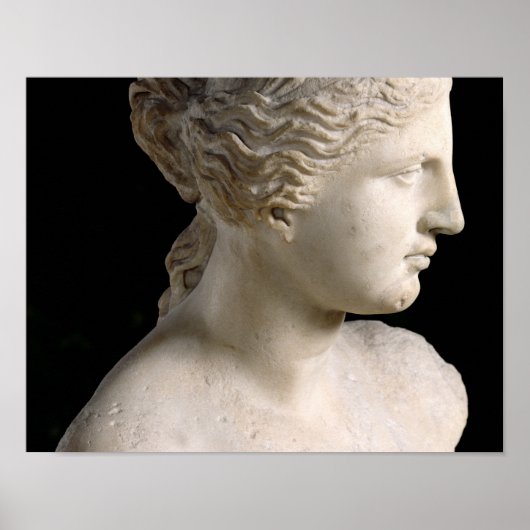 Venus de Milo Poster (Voorkant)