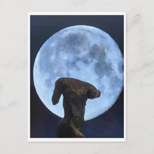 Venus en de Maan Briefkaart