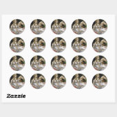 Venus en Mars, Sandro Botticelli Ronde Sticker (Vel)