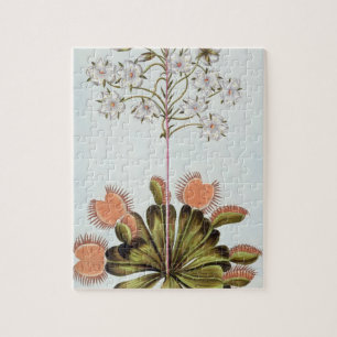 Venus Fly-trap, bord 84, van 'Collectie Precieu' Legpuzzel