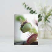 Venus Fly Trap Briefkaart (Staand voorkant)