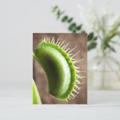 Venus Fly Trap Briefkaart (Staand voorkant)