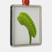Venus Fly Trap Metalen Ornament (Rechts)