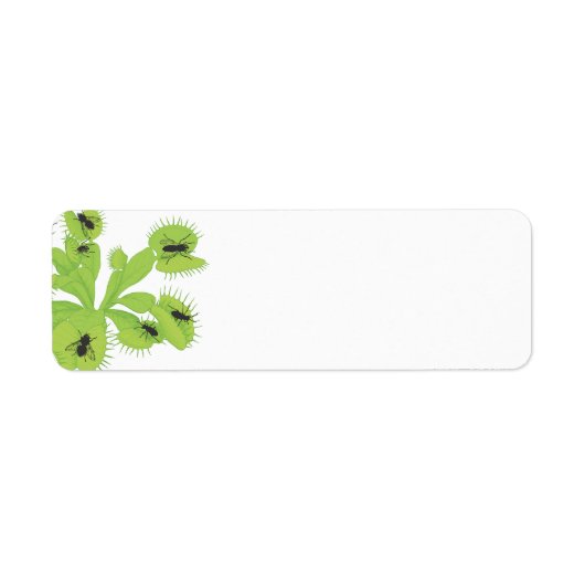 Vénus Flytrap avec Étiquettes de mouches (Devant)