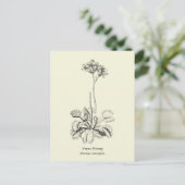 Venus Flytrap, carnivoren Plant Briefkaart (Staand voorkant)