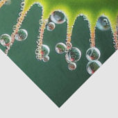 Venus Flytrap Floral Whimsical Fun Wild Tissuepapier (Detail)