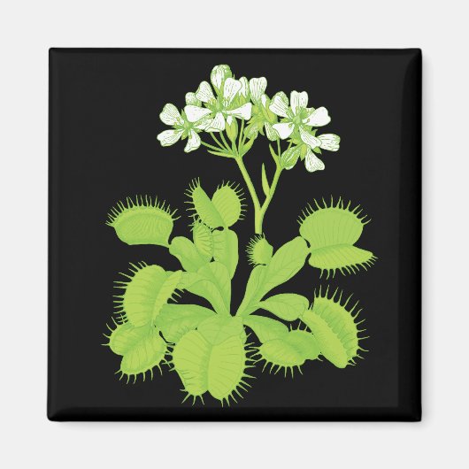 Venus Flytrap Magneet (Voorkant)