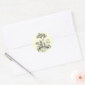 Venus Flytrap-Sticker Ronde Sticker (Envelop)