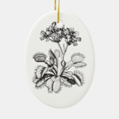 Venus Flyval  Botanical Ornament (Achterkant)