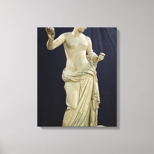 Venus of Arles Canvas Afdruk (Voorkant)