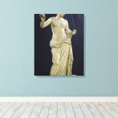 Venus of Arles Canvas Afdruk (Insitu (Houten vloer))