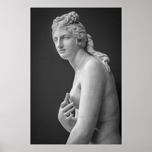 Venus Poster (Voorkant)