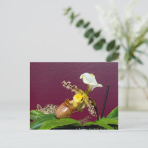 Venus Sandaal Orchidee Feestdagenkaart